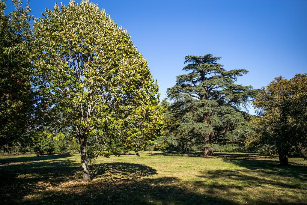 Best Western Premier Le Domaine De Montjoie Ramonville-Saint-Agne Bagian luar foto